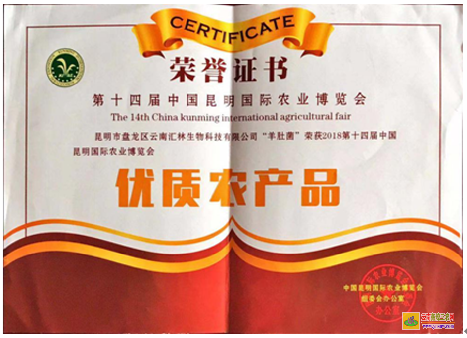 江蘇羊肚菌畝產量一般多少斤 羊肚菌的功效和作用 羊肚菌的做法
