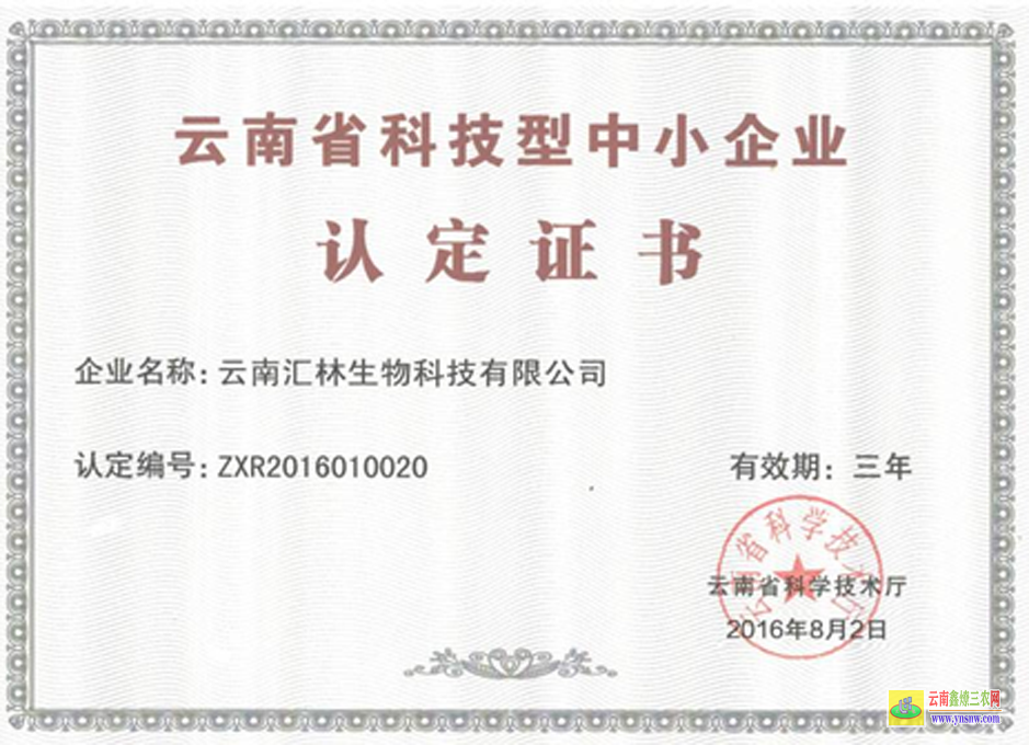 福建羊肚菌畝產量一般多少斤 羊肚菌的功效和作用 羊肚菌圖片
