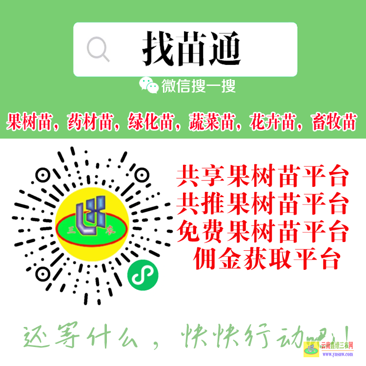 海南綠化苗木求購商聯(lián)系方式 微信搜搜“找苗通”小程序 農(nóng)業(yè)產(chǎn)品信息發(fā)布平臺