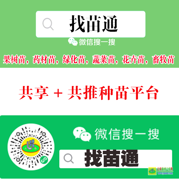 甘肅天水武山綠化苗木建設平臺 微信搜一搜[找苗通] 壽光蔬菜苗什么平臺