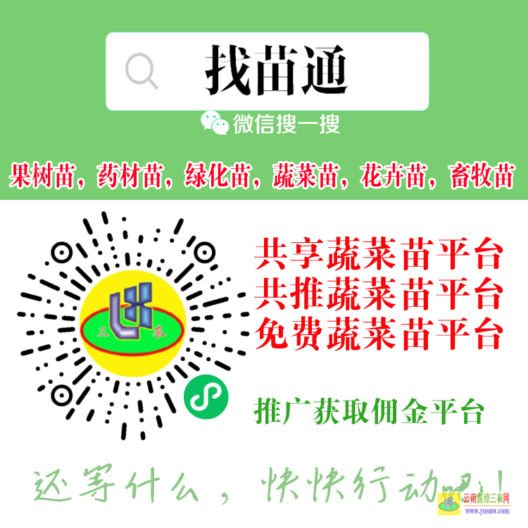 山東濟寧任城葡萄苗木平臺 微信搜一搜[找苗通] 壽光蔬菜苗什么平臺
