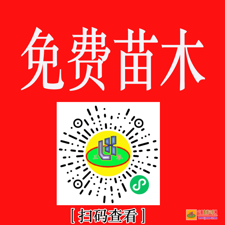 建水國內大的苗木求購信息網站 上門收購綠化樹木 綠化苗木價格表2020