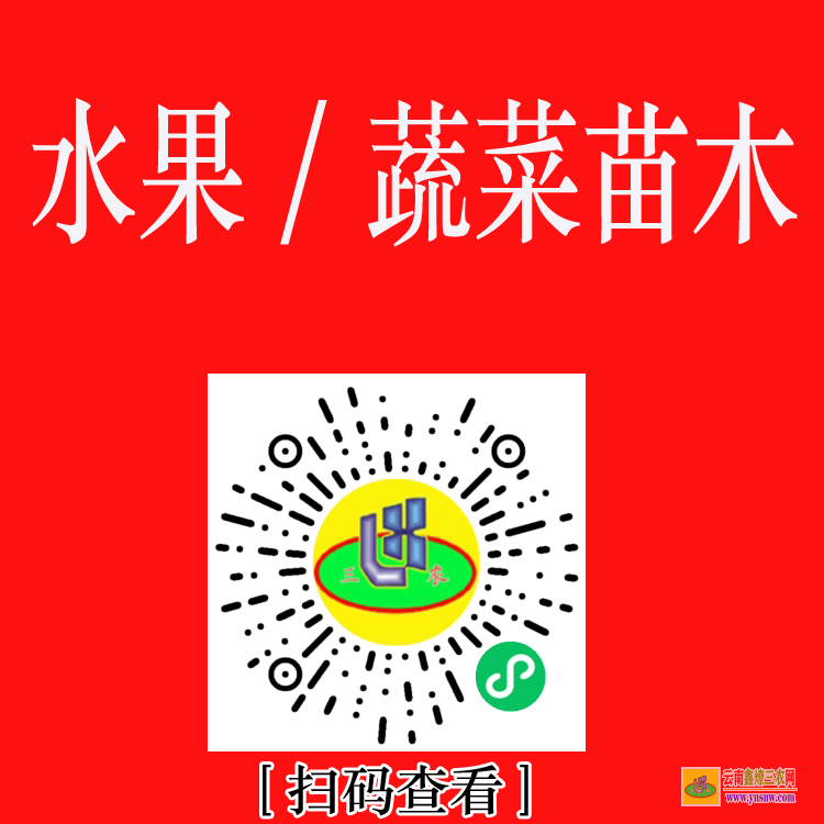 華寧苗木銷售如何找客戶 綠化工程苗木報價清單 工程急需苗木求購信息
