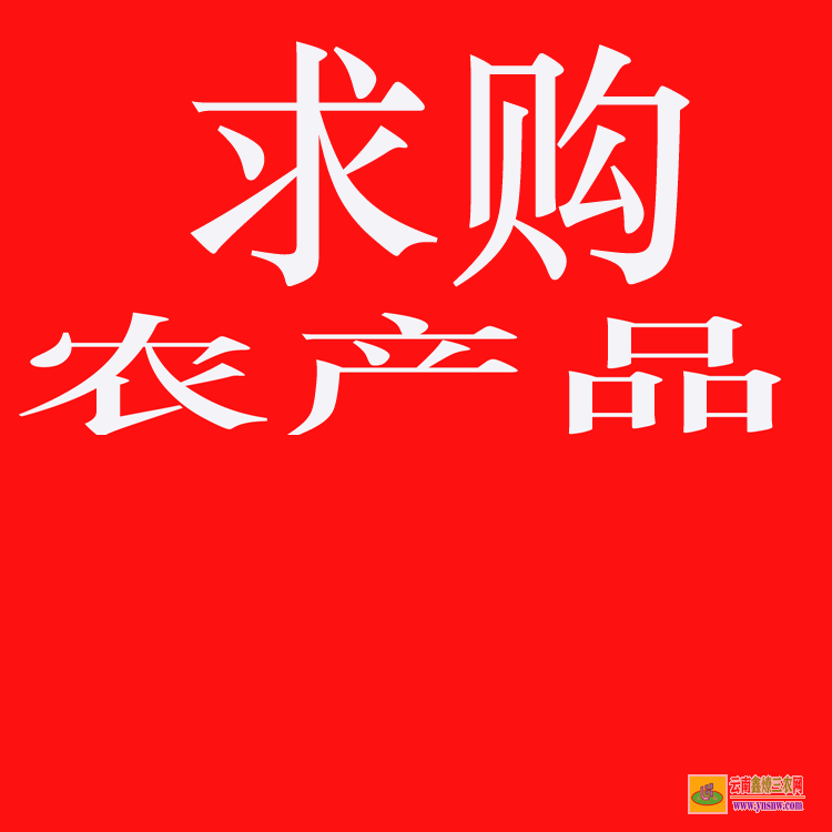 隆陽國內大的苗木求購信息網站 上門收購綠化樹木 綠化苗木價格表2020