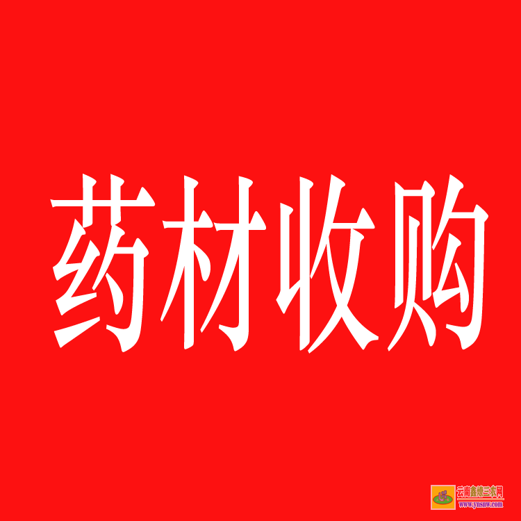 新津藥材苗木交易市場 中藥材苗木 藥材苗木網(wǎng)