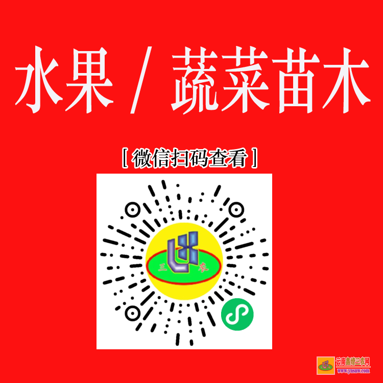 昭陽(yáng)藥材苗圖片大全 株瑜藥材苗木 藥材苗木網(wǎng)