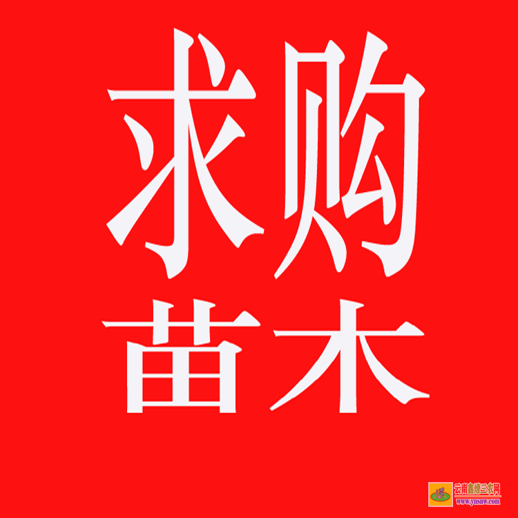 華寧藥材苗木有哪些 中藥材苗木 藥材苗木網(wǎng)