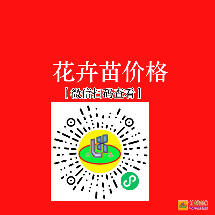 云南大理果樹(shù)苗批發(fā)市場(chǎng) 蘋(píng)果苗批發(fā) 水果苗批發(fā)