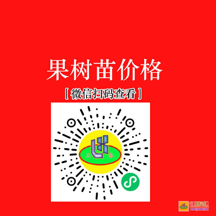 云南師宗各種果樹苗價錢 昆明賣果樹苗的地址 水果苗批發