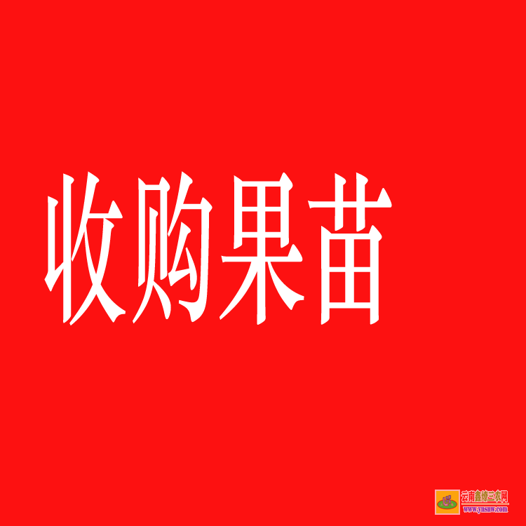 云南洱源蔬菜苗哪里有賣 蔬菜苗批發賺錢嗎 蔬菜苗子供購合同