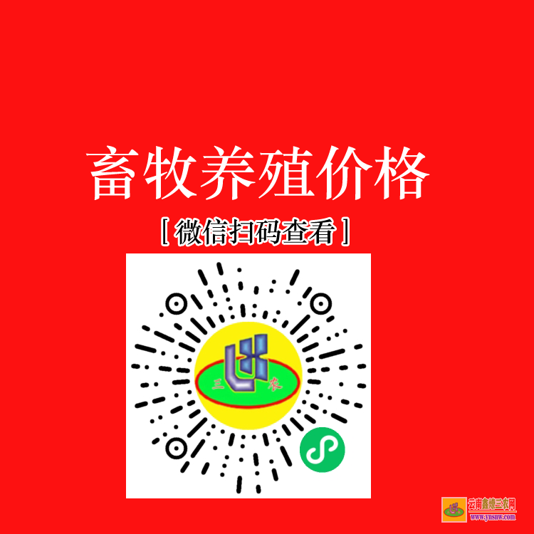 云南華坪蔬菜苗哪里有賣 蔬菜苗批發賺錢嗎 蔬菜苗子哪里有賣的