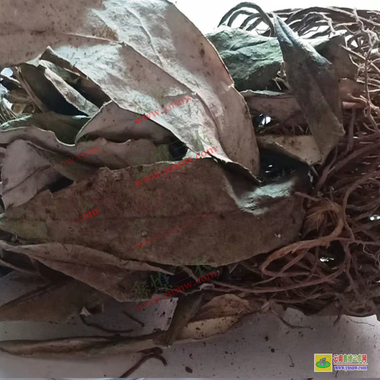 浙江大火草價(jià)格是多少錢一斤| 火麻草價(jià)格| 大火草查詢網(wǎng)