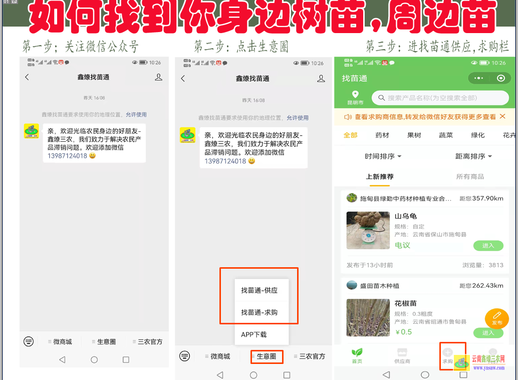紅河蔬菜苗哪里有賣| 蔬菜苗圖片大全 蔬菜幼苗圖片及名稱