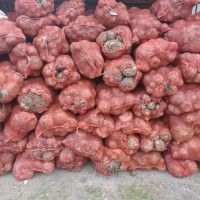 收購(gòu)商品魔芋，價(jià)格美麗，有貨聯(lián)系
