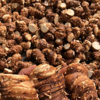 求購滇重樓，要求投料個(gè)子