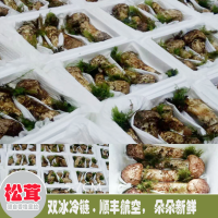 大量求購，鵝蛋菌，沙木菌，虎掌菌，羊角菌。松茸