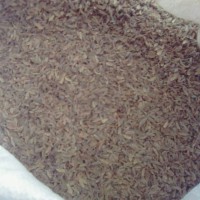 求購當歸0.3篩，0.4篩以下的丁子