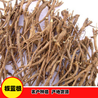 求購統貨板藍根