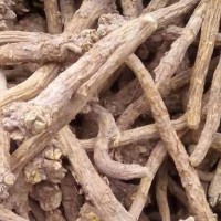 求購1-2年生黃芩10噸 ，不要求含量，陽枝沫子＜10%，泥粉＜1%，板藍根統貨 10噸（性價比）