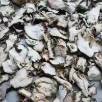 大量求購佛手鮮果，佛手花